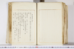 明い016020090318.jpg