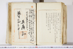 明い016020090319.jpg