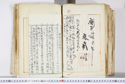 明い016020090320.jpg