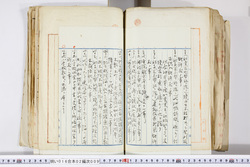 明い016020090323.jpg