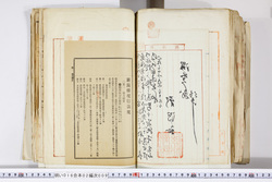 明い016020090325.jpg
