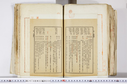 明い016020090326.jpg