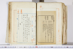 明い016020090327.jpg