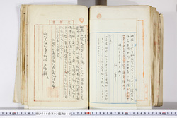 明い016020100002.jpg
