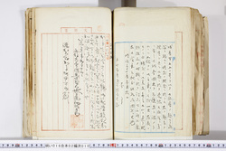 明い016020100004.jpg