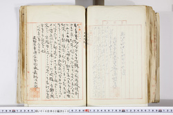 明い016020100005.jpg