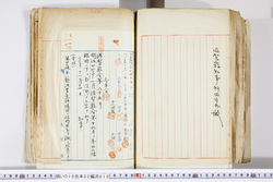 明い016020100006.jpg