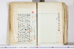 明い016020110002.jpg
