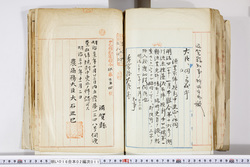 明い016020110003.jpg