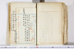 明い016020110004.jpg