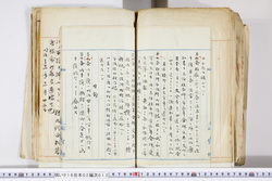 明い016020130005.jpg