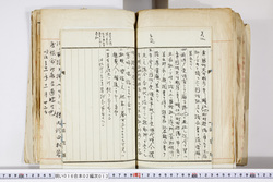 明い016020130012.jpg