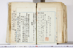 明い016020140004.jpg