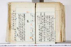 明い016020140005.jpg