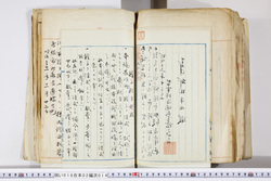 明い016020140009.jpg