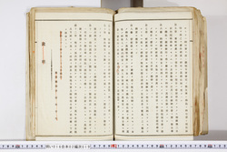 明い016020190003.jpg