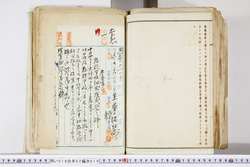 明い016020190004.jpg