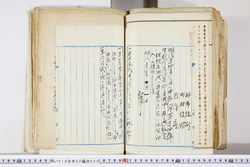 明い016020200002.jpg