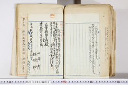 明い016020210003.jpg