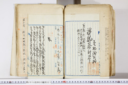 明い016020210006.jpg