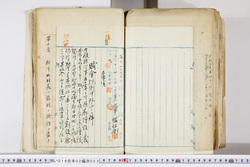 明い016020230003.jpg