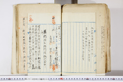 明い016020240005.jpg