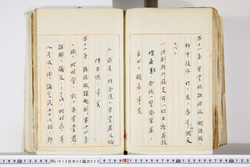 明い016020250008.jpg