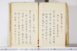 明い016020250012.jpg
