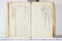 明い016020250023.jpg