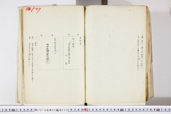 明い016020250034.jpg