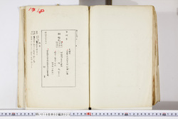 明い016020250035.jpg