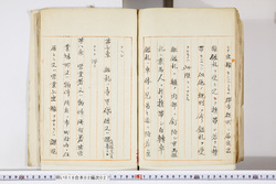 明い016020270006.jpg