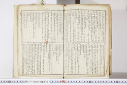 明い016020270010.jpg