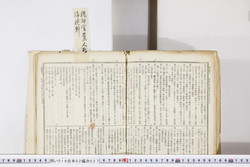 明い016020270011.jpg