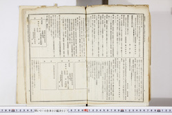 明い016020270013.jpg