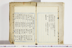 明い017010010002.jpg