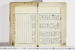明い017010010004.jpg