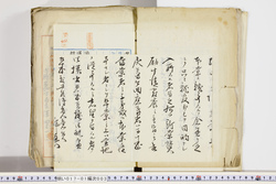 明い017010030004.jpg