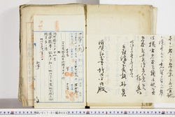 明い017010030005.jpg