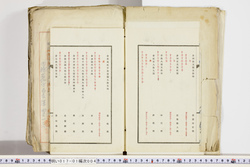 明い017010040004.jpg