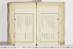 明い017010040012.jpg