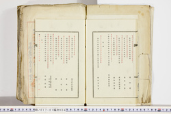明い017010040014.jpg
