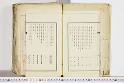 明い017010040015.jpg