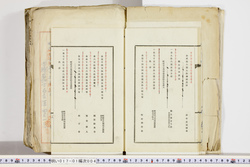 明い017010040017.jpg
