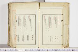 明い017010040018.jpg