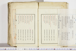 明い017010040020.jpg
