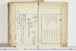 明い017010040021.jpg