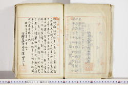 明い017010050003.jpg