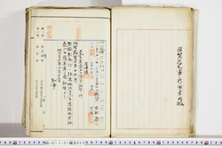 明い017010050004.jpg
