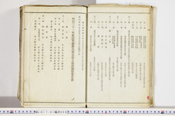 明い017010060008.jpg